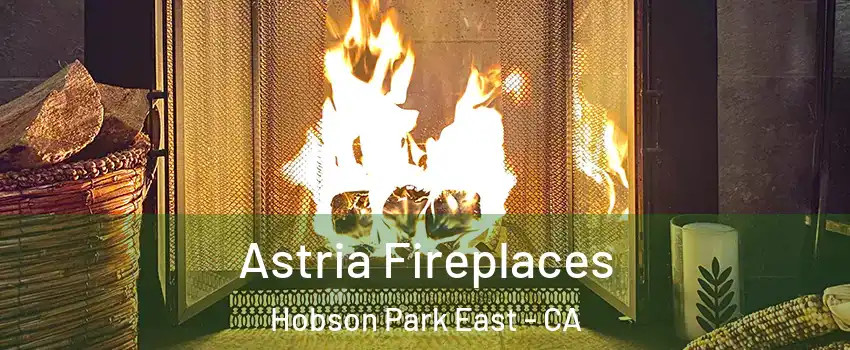 Astria Fireplaces Hobson Park East - CA