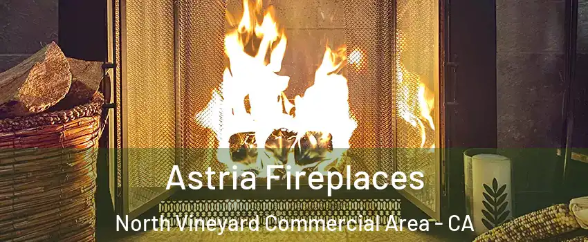 Astria Fireplaces North Vineyard Commercial Area - CA