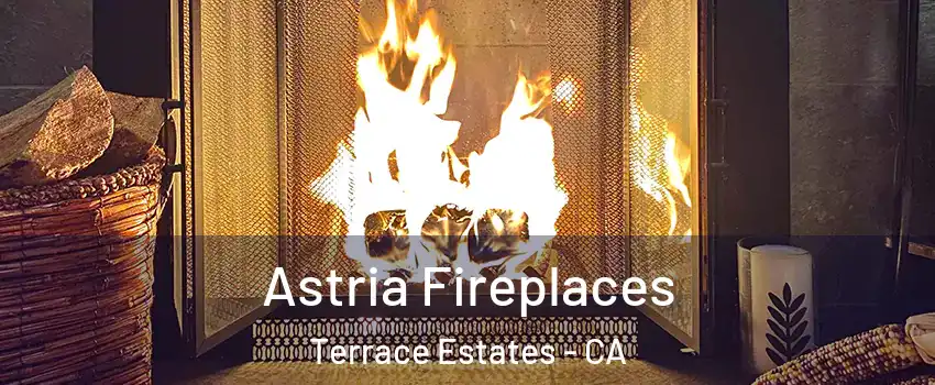 Astria Fireplaces Terrace Estates - CA