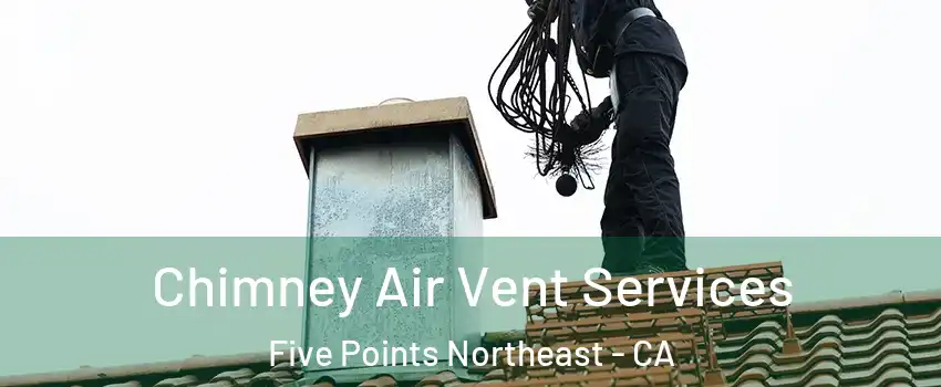 Chimney Air Vent Services Five Points Northeast - CA