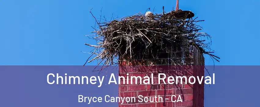Chimney Animal Removal Bryce Canyon South - CA