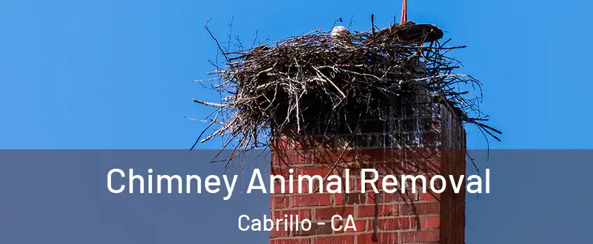 Chimney Animal Removal Cabrillo - CA