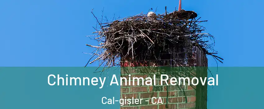 Chimney Animal Removal Cal-gisler - CA