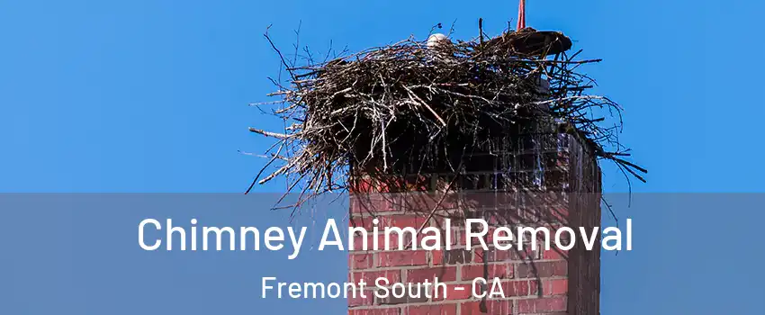 Chimney Animal Removal Fremont South - CA