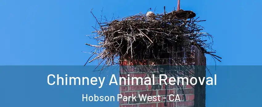 Chimney Animal Removal Hobson Park West - CA