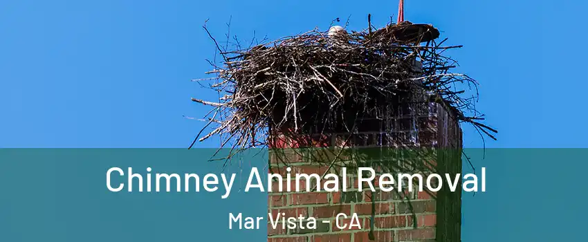 Chimney Animal Removal Mar Vista - CA