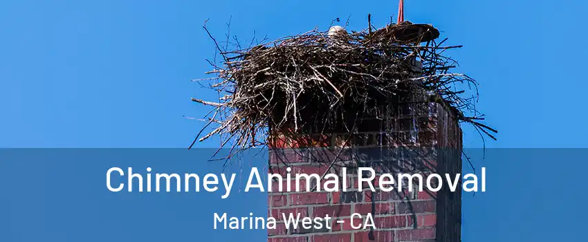 Chimney Animal Removal Marina West - CA