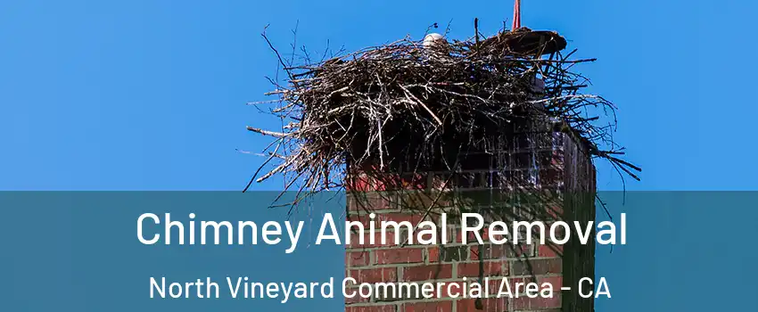 Chimney Animal Removal North Vineyard Commercial Area - CA