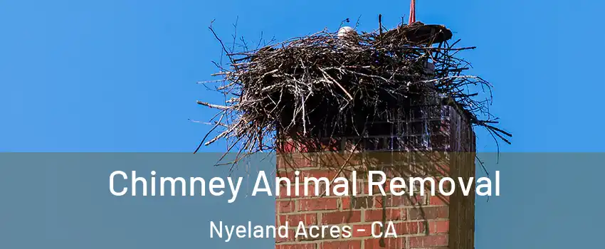 Chimney Animal Removal Nyeland Acres - CA