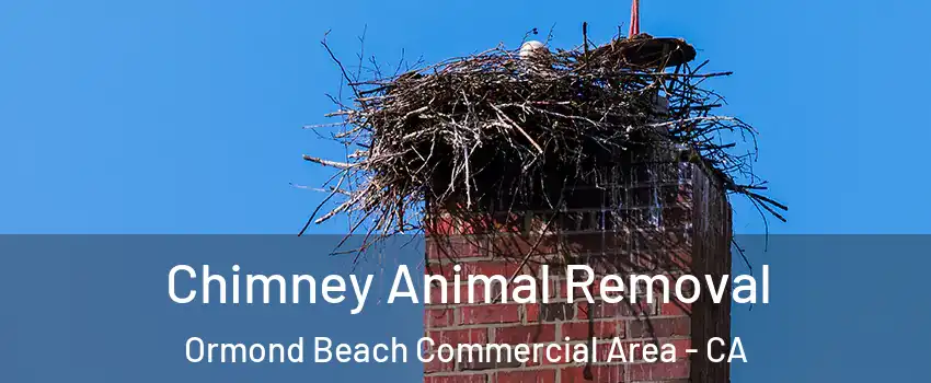 Chimney Animal Removal Ormond Beach Commercial Area - CA