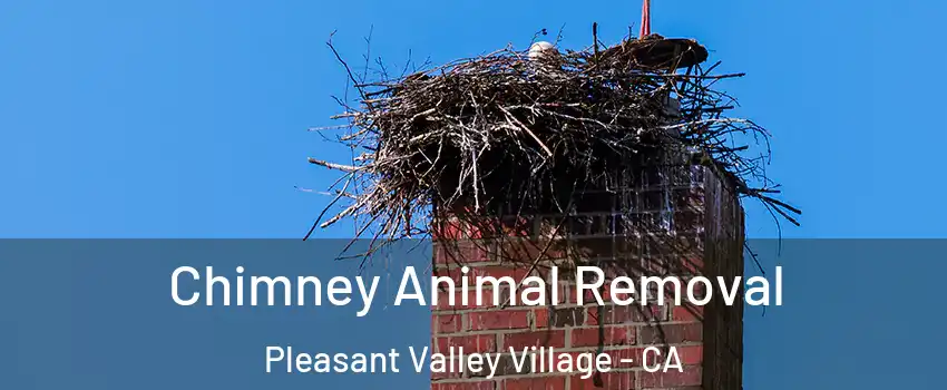 Chimney Animal Removal Pleasant Valley Village - CA