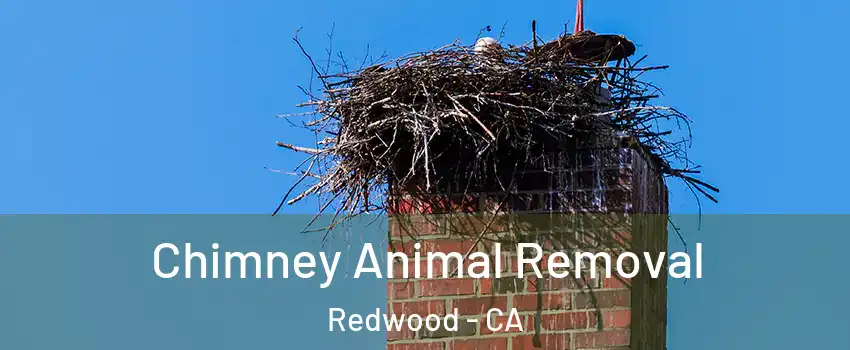 Chimney Animal Removal Redwood - CA