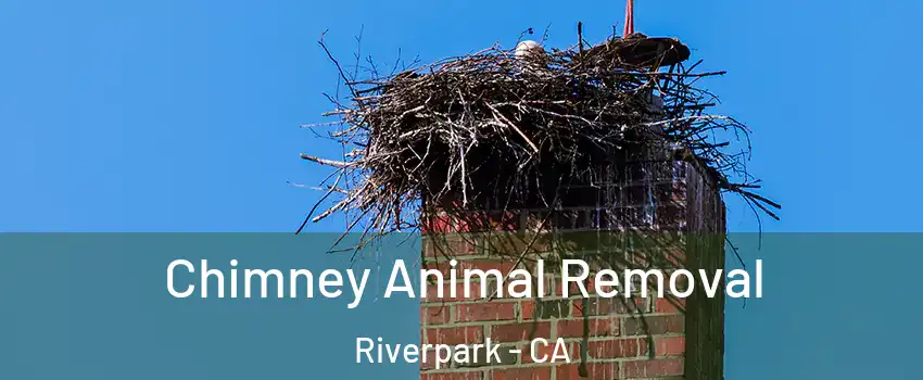Chimney Animal Removal Riverpark - CA