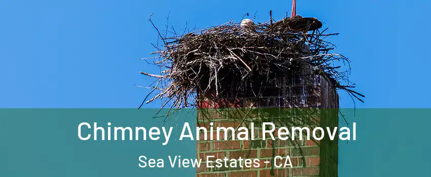 Chimney Animal Removal Sea View Estates - CA