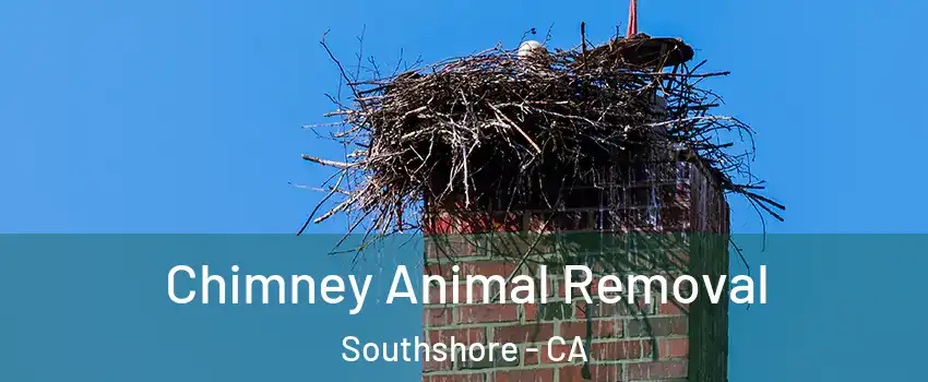 Chimney Animal Removal Southshore - CA