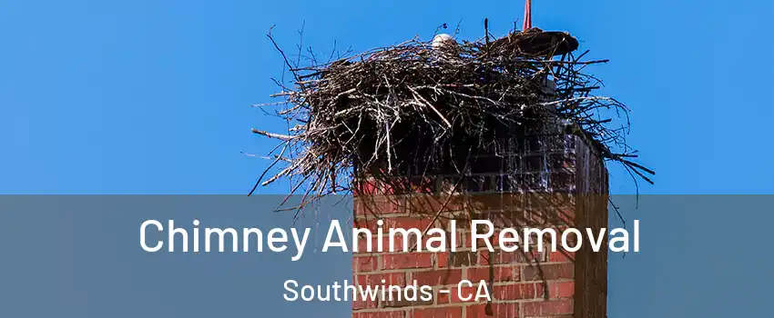 Chimney Animal Removal Southwinds - CA