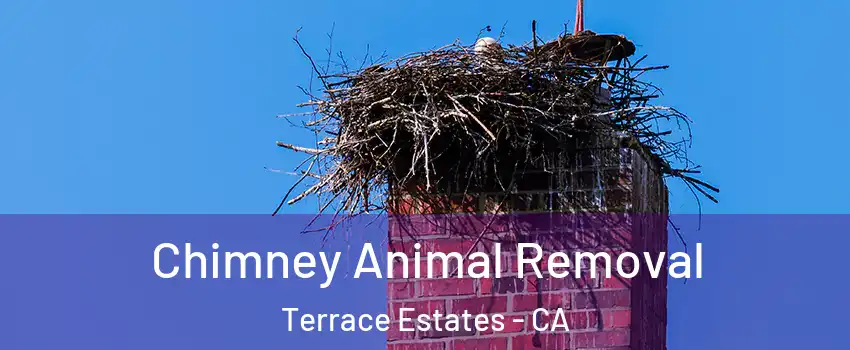 Chimney Animal Removal Terrace Estates - CA