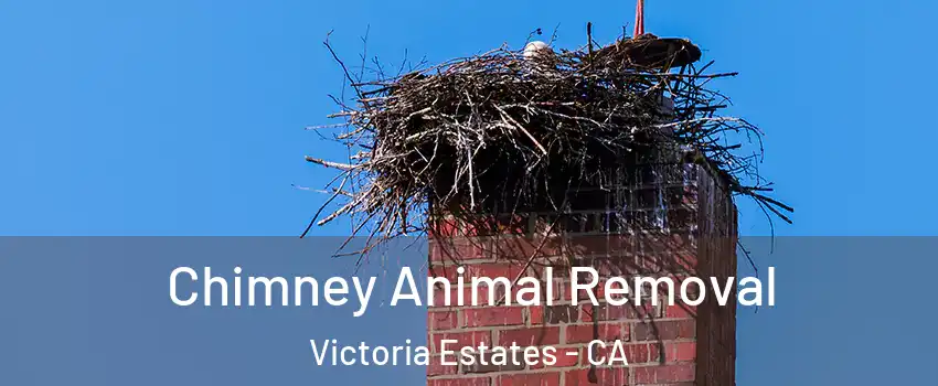 Chimney Animal Removal Victoria Estates - CA