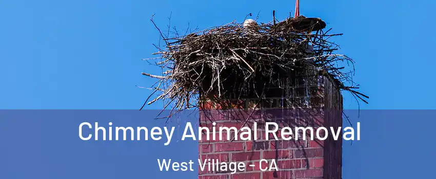 Chimney Animal Removal West Village - CA