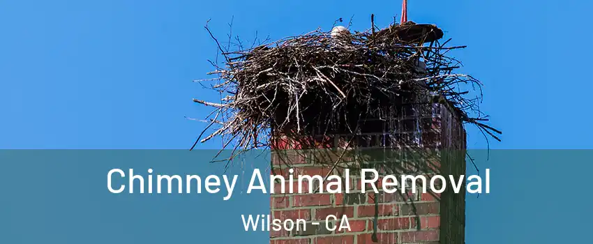 Chimney Animal Removal Wilson - CA