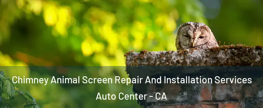 Chimney Animal Screen Repair And Installation Services Auto Center - CA