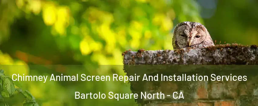 Chimney Animal Screen Repair And Installation Services Bartolo Square North - CA