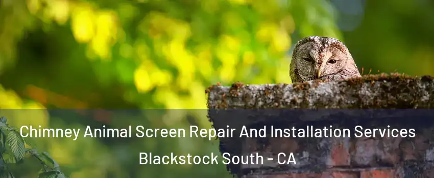 Chimney Animal Screen Repair And Installation Services Blackstock South - CA
