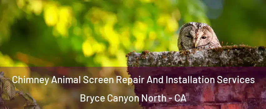 Chimney Animal Screen Repair And Installation Services Bryce Canyon North - CA