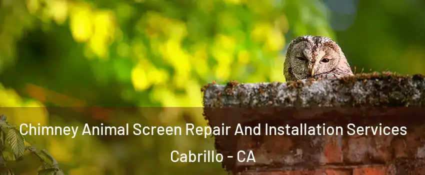 Chimney Animal Screen Repair And Installation Services Cabrillo - CA
