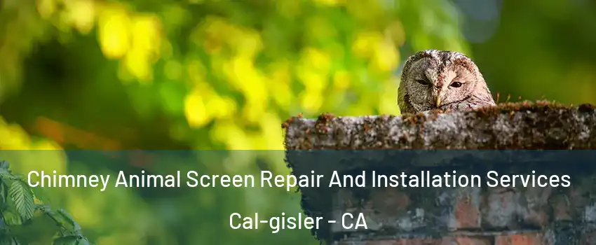 Chimney Animal Screen Repair And Installation Services Cal-gisler - CA