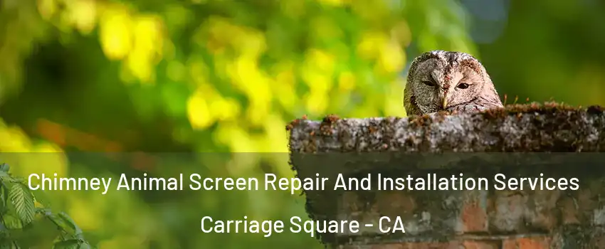 Chimney Animal Screen Repair And Installation Services Carriage Square - CA