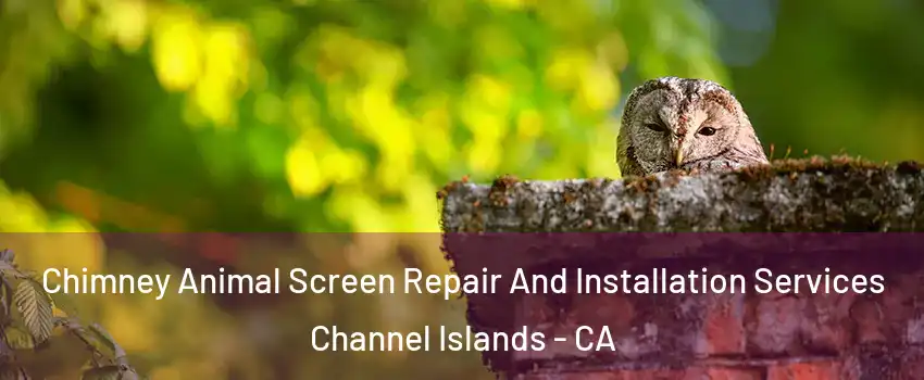 Chimney Animal Screen Repair And Installation Services Channel Islands - CA