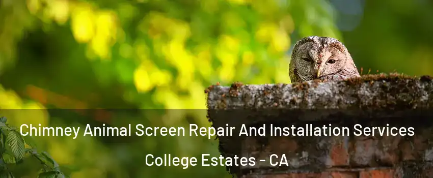 Chimney Animal Screen Repair And Installation Services College Estates - CA