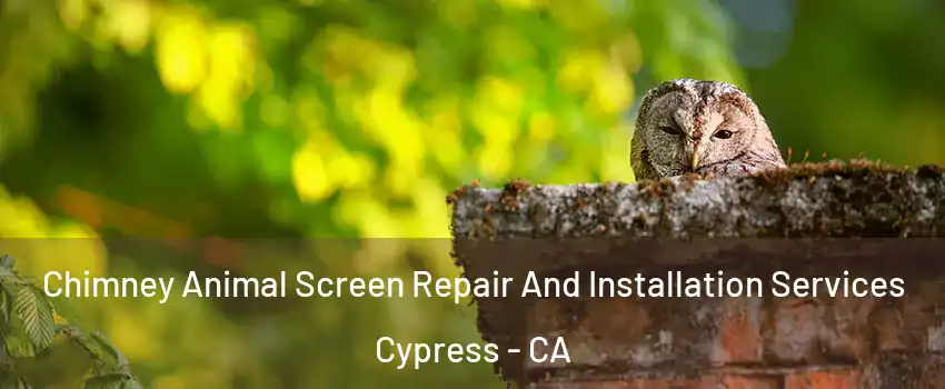 Chimney Animal Screen Repair And Installation Services Cypress - CA