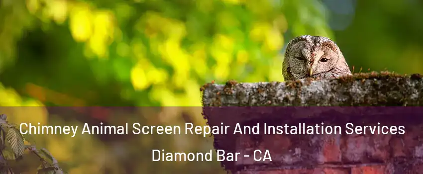 Chimney Animal Screen Repair And Installation Services Diamond Bar - CA