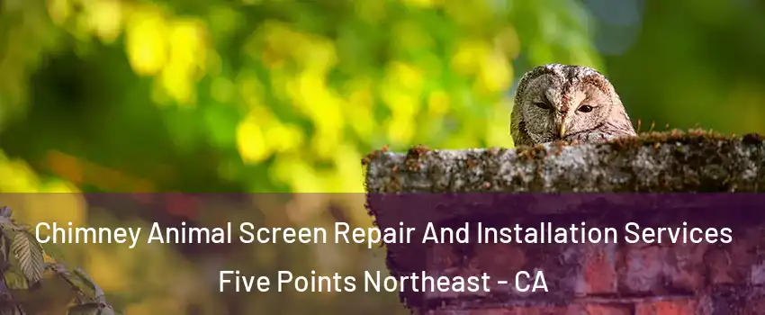 Chimney Animal Screen Repair And Installation Services Five Points Northeast - CA