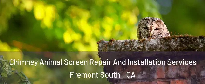 Chimney Animal Screen Repair And Installation Services Fremont South - CA