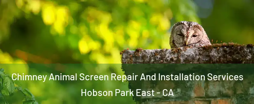 Chimney Animal Screen Repair And Installation Services Hobson Park East - CA