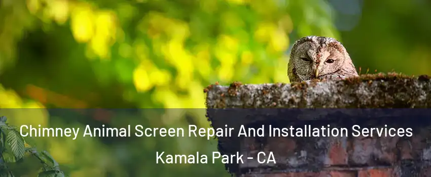 Chimney Animal Screen Repair And Installation Services Kamala Park - CA