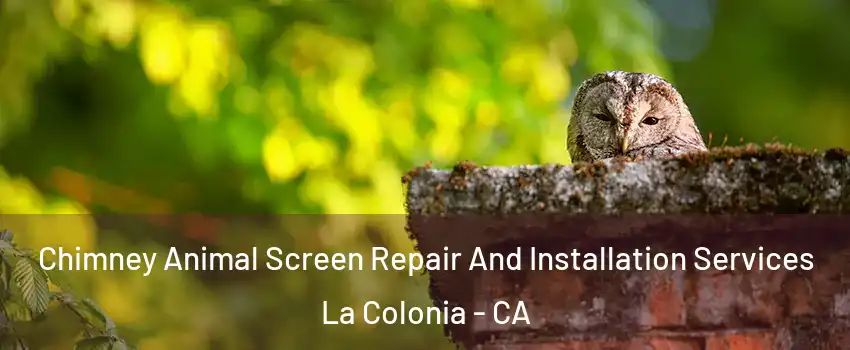 Chimney Animal Screen Repair And Installation Services La Colonia - CA