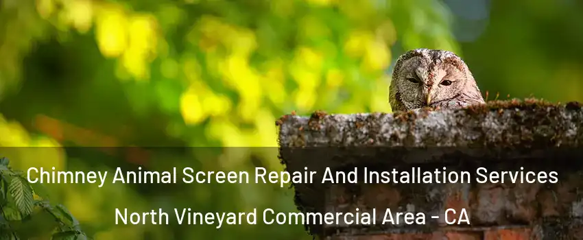 Chimney Animal Screen Repair And Installation Services North Vineyard Commercial Area - CA
