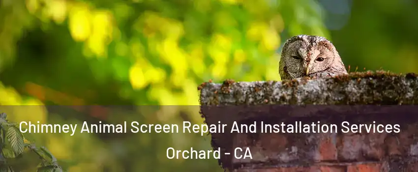 Chimney Animal Screen Repair And Installation Services Orchard - CA