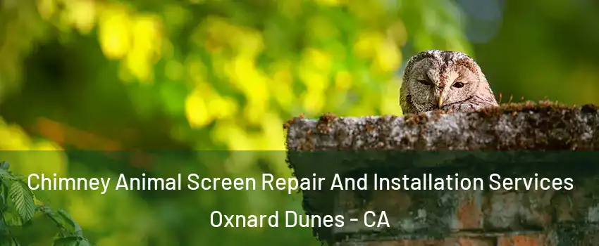Chimney Animal Screen Repair And Installation Services Oxnard Dunes - CA