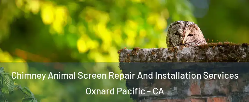 Chimney Animal Screen Repair And Installation Services Oxnard Pacific - CA