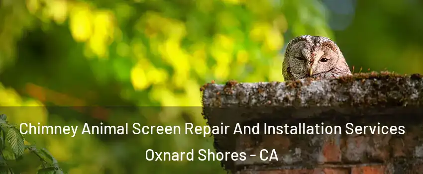 Chimney Animal Screen Repair And Installation Services Oxnard Shores - CA