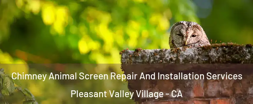 Chimney Animal Screen Repair And Installation Services Pleasant Valley Village - CA