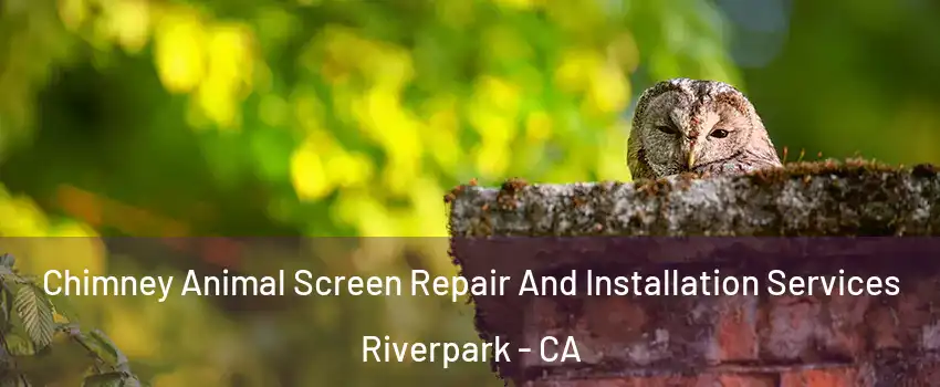 Chimney Animal Screen Repair And Installation Services Riverpark - CA