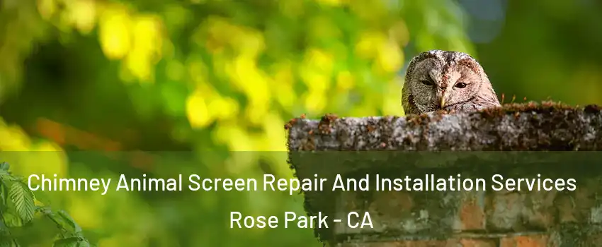 Chimney Animal Screen Repair And Installation Services Rose Park - CA