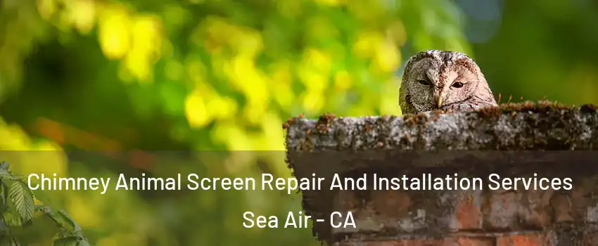 Chimney Animal Screen Repair And Installation Services Sea Air - CA