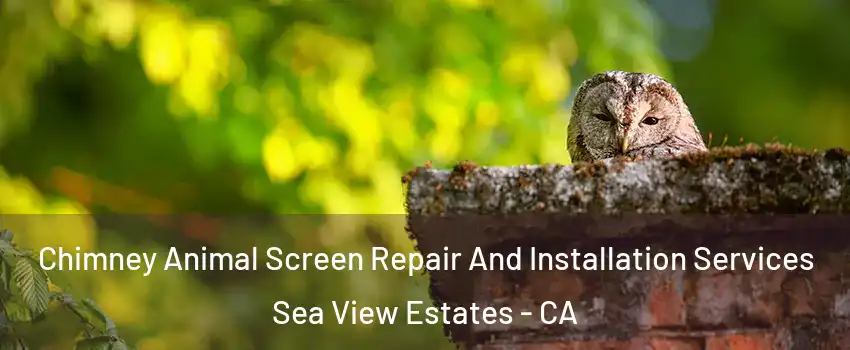 Chimney Animal Screen Repair And Installation Services Sea View Estates - CA